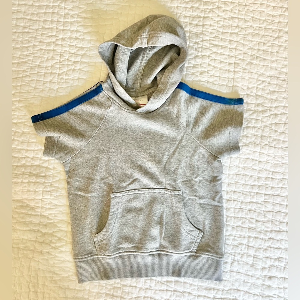 Hanna Andersson Gray Hoodie with Blue Stripes